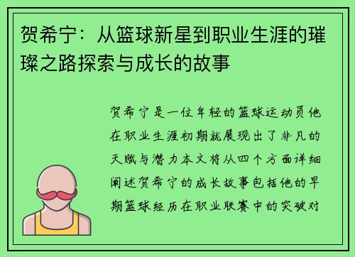 贺希宁：从篮球新星到职业生涯的璀璨之路探索与成长的故事