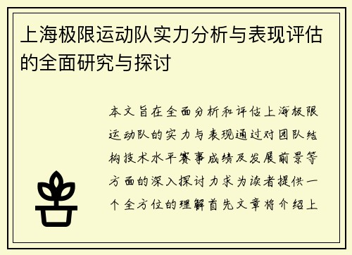 上海极限运动队实力分析与表现评估的全面研究与探讨